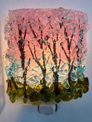 Springtime Woods