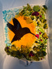 Humming Bird Nightlight