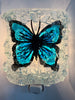 Blue Butterfly Night Light